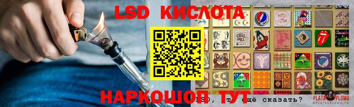 LSD-25 экстази ecstasy  KRAKEN tor  Нефтекумск  Вход с VPN  LSD-25 экстази ecstasy 
