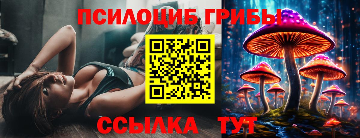 Псилоцибиновые грибы Magic Shrooms Нефтекумск