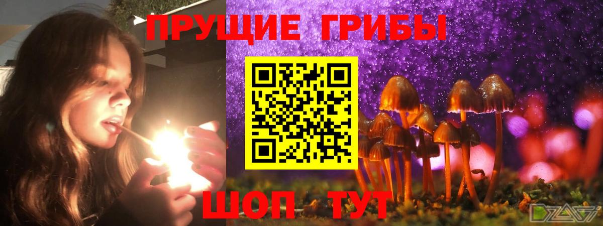 Нефтекумск  купить наркотики сайты  Галлюциногенные грибы GOLDEN TEACHER  Вход с VPN  Галлюциногенные грибы GOLDEN TEACHER 